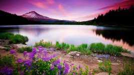 12-facts-about-scenery-1689746516.jpg