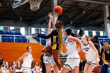 wichitawbb04.jpg