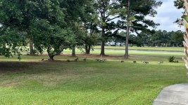 IMG_1579.jpeg