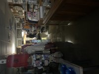 IMG_1038.jpeg