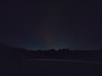 IMG_20241010_210733376.jpg