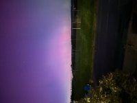 IMG_1264.jpeg