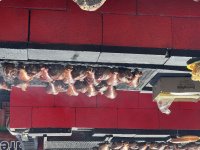 IMG_6914.jpeg