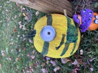 IMG_1075.jpeg