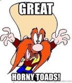 YosemiteSam.jpg