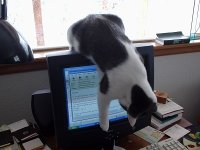ThomasAndComputer.jpg