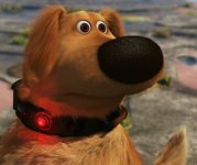 wiat-squirrel-2.jpeg