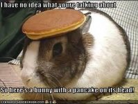 I have no idea what youre talking about  So here's a bunny with a pancake on its head!.jpeg