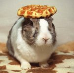 Oolong_the_Rabbit's_last_performance_(2003).jpg