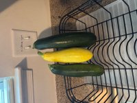 IMG_0059.jpeg