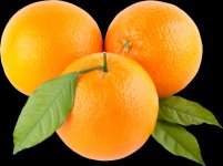 oranges.jpg