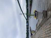 IMG_2018.jpeg