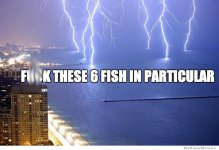 I'm a real wanker for saying this. I'm a real wanker for saying this.-these-6-fish-in-particularEdit.jpg