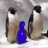 bluepenguin