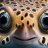 fisheyes