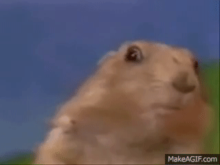 bcwNPv.gif