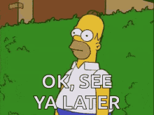 homer-simpsons.gif